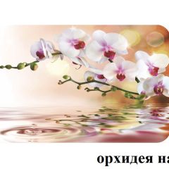 БОСТОН - 2 опоры Брифинг в Красноуральске - krasnouralsk.mebel24.online | фото 4