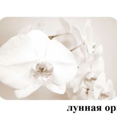 БОСТОН - 2 опоры Брифинг в Красноуральске - krasnouralsk.mebel24.online | фото 25