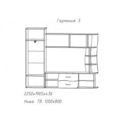 Гостиная ГАРМОНИЯ-3 (ЦРК.ГРМ.03) в Красноуральске - krasnouralsk.mebel24.online | фото 2