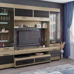 Гостиная Камелия Композиция 11 (Гикори Джексон светлый комбинированный) в Красноуральске - krasnouralsk.mebel24.online | фото