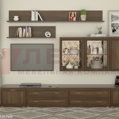 Гостиная Карина Композиция 10 (Акация Молдау) в Красноуральске - krasnouralsk.mebel24.online | фото