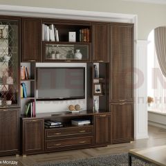 Гостиная Карина Композиция 2 (Акация Молдау) в Красноуральске - krasnouralsk.mebel24.online | фото