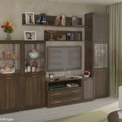 Гостиная Карина Композиция 22 (Акация Молдау) в Красноуральске - krasnouralsk.mebel24.online | фото