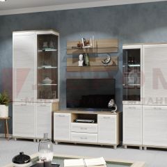 Гостиная Мелисса Композиция 5 (корпус Ясень Асахи, фасад Снежный ясень) в Красноуральске - krasnouralsk.mebel24.online | фото 2