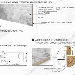 Кухонный фартук со столешницей (А-013) в едином стиле (3050 мм) в Красноуральске - krasnouralsk.mebel24.online | фото 7