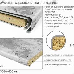 Кухонный фартук со столешницей (А-013) в едином стиле (3050 мм) в Красноуральске - krasnouralsk.mebel24.online | фото 6