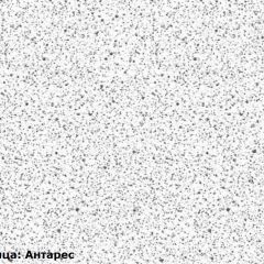 Кухонный гарнитур Принцесса угловой 1200*2400 Арктик (модульный) Горизонт в Красноуральске - krasnouralsk.mebel24.online | фото 6