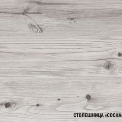 Кухонный гарнитур Сиена стандарт 1600 мм в Красноуральске - krasnouralsk.mebel24.online | фото 8