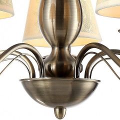 Подвесная люстра Arte Lamp Felcia A9368LM-5AB в Красноуральске - krasnouralsk.mebel24.online | фото 4