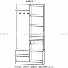 Прихожая София 1 в Красноуральске - krasnouralsk.mebel24.online | фото 3