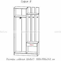 Прихожая София 8 в Красноуральске - krasnouralsk.mebel24.online | фото 2