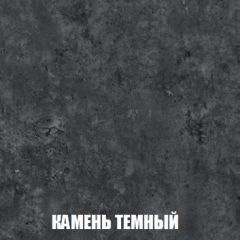 Шкаф 2-х створчатый МСП-1 (Дуб Золотой/Камень темный) в Красноуральске - krasnouralsk.mebel24.online | фото 5