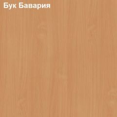 Шкаф для документов средний с нижними дверями Логика Л-13.1 в Красноуральске - krasnouralsk.mebel24.online | фото 2