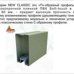 Шкаф-купе 1500 серии NEW CLASSIC K3+K3+B2+PL1 (2 ящика+1 штанга) профиль «Капучино» в Красноуральске - krasnouralsk.mebel24.online | фото 5