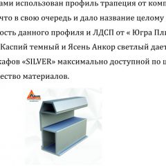 Шкаф-купе 1500 серии SILVER S1+S1+B2+PL2 (2 ящика+1 штанга+1 полка) профиль «Серебро» в Красноуральске - krasnouralsk.mebel24.online | фото 4