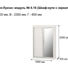 Шкаф-купе 1600 с зеркалом "Мария-Луиза 6.16" в Красноуральске - krasnouralsk.mebel24.online | фото 4