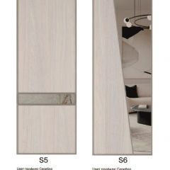 Шкаф-купе 1700 серии SILVER S5+S5+B2+PL3 (2 ящика+2 штанги) профиль «Серебро» в Красноуральске - krasnouralsk.mebel24.online | фото 11