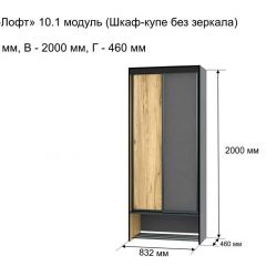 ОЛЬГА-ЛОФТ 10.1 Шкаф-купе без зеркала в Красноуральске - krasnouralsk.mebel24.online | фото 3