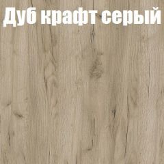 Шкаф-купе Эдем 1.5 (Дуб Крафт серый/Бетонный камень) двери ЛДСП вставка зеркало в Красноуральске - krasnouralsk.mebel24.online | фото 4