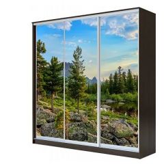Шкаф-купе ХИТ 23-4-18-777 (420) в Красноуральске - krasnouralsk.mebel24.online | фото 1