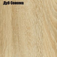 Шкаф-купе Лофт 1600 Шк16-60 (Дуб Сонома) в Красноуральске - krasnouralsk.mebel24.online | фото 4