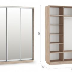 Шкаф-купе Тетрис 180/240 (ЗЗЗ) Дуб сонома в Красноуральске - krasnouralsk.mebel24.online | фото