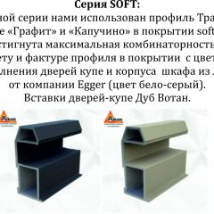 Шкаф-купе 1400 серии SOFT D1+D3+B2+PL1 (2 ящика+1штанга) профиль «Графит» в Красноуральске - krasnouralsk.mebel24.online | фото 5