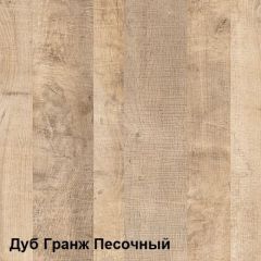 Трувор Шкаф 13.204.01 в Красноуральске - krasnouralsk.mebel24.online | фото 4