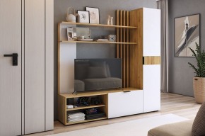 БЕРИ К1 Гостиная в Красноуральске - krasnouralsk.mebel24.online | фото