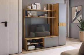 БЕРИ К1 Гостиная в Красноуральске - krasnouralsk.mebel24.online | фото 2