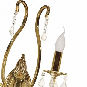 Бра Arti Lampadari Ercolano Ercolano E 2.1.2.602 G в Красноуральске - krasnouralsk.mebel24.online | фото 8