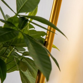 Бра Favourite Greenery 4050-1W в Красноуральске - krasnouralsk.mebel24.online | фото 11