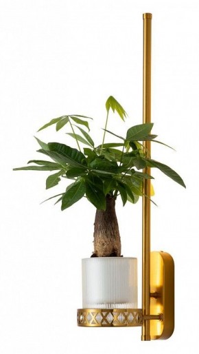 Бра Favourite Greenery 4050-1W в Красноуральске - krasnouralsk.mebel24.online | фото 3