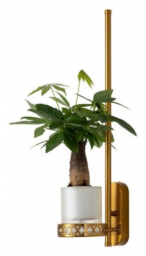Бра Favourite Greenery 4050-1W в Красноуральске - krasnouralsk.mebel24.online | фото 4