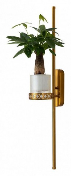 Бра Favourite Greenery 4050-2W в Красноуральске - krasnouralsk.mebel24.online | фото 11
