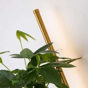 Бра Favourite Greenery 4050-2W в Красноуральске - krasnouralsk.mebel24.online | фото 13