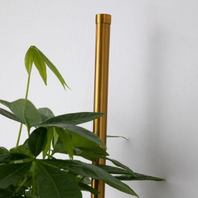 Бра Favourite Greenery 4050-2W в Красноуральске - krasnouralsk.mebel24.online | фото 8