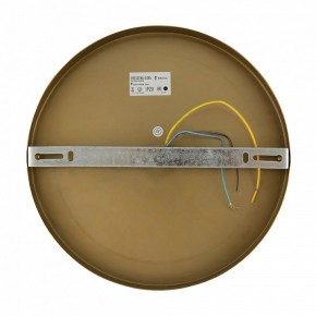 Бра Freya Zelda FR5125WL-01BS в Красноуральске - krasnouralsk.mebel24.online | фото 6