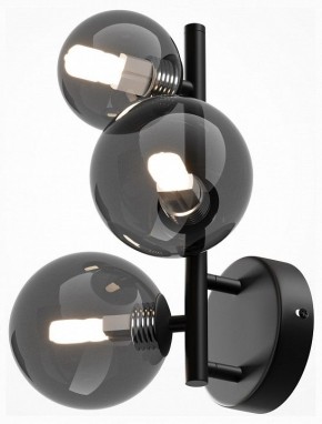 Бра Maytoni Dallas MOD545WL-03B в Красноуральске - krasnouralsk.mebel24.online | фото 2