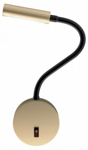 Бра Maytoni Stem C035WL-L3MG3K в Красноуральске - krasnouralsk.mebel24.online | фото