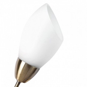 Бра MW-Light Нежность 7 356023001 в Красноуральске - krasnouralsk.mebel24.online | фото 2