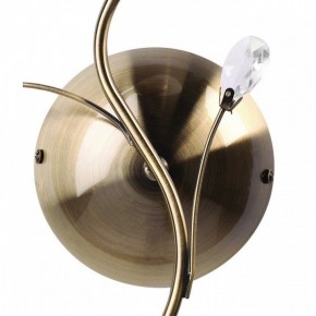Бра MW-Light Нежность 7 356023001 в Красноуральске - krasnouralsk.mebel24.online | фото 3