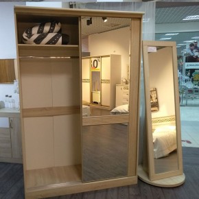 ДИАНА Д13 Шкаф-купе в Красноуральске - krasnouralsk.mebel24.online | фото 5