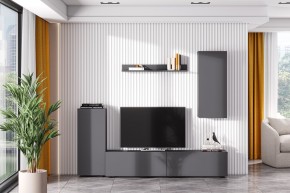 Гостиная МГС 10 (Графит) в Красноуральске - krasnouralsk.mebel24.online | фото 1