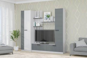 Гостиная Юджи (Анкор светлый/Графит) в Красноуральске - krasnouralsk.mebel24.online | фото