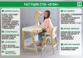 Комплект растущий стол и стул с чехлом 38 попугаев «Вуди» (Серый, Береза, Салют) в Красноуральске - krasnouralsk.mebel24.online | фото