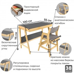 Комплект растущий стол и стул с чехлом 38 попугаев «Вуди» (Серый, Береза, Серый) в Красноуральске - krasnouralsk.mebel24.online | фото