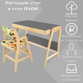 Комплект растущий стол и стул с чехлом 38 попугаев «Вуди» (Серый, Без покрытия, Монстры) в Красноуральске - krasnouralsk.mebel24.online | фото