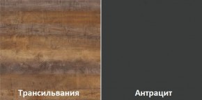 Кухонный гарнитур угловой Трансильвания 2600х1600 мм (Стол. 26 мм) в Красноуральске - krasnouralsk.mebel24.online | фото 3