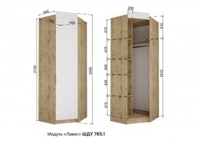 ЛАВИС Детская (модульная) белый/роза-белый софт/ручка золотая в Красноуральске - krasnouralsk.mebel24.online | фото 11